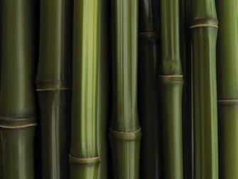 Bamboo Textured Wallpaper Grasscloth