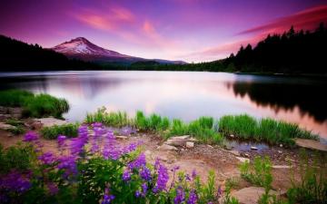 Spring Landscape Desktop Wallpaper For