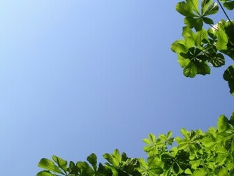 Background For Gt Desktop Wallpaper Nature