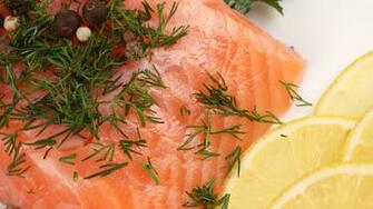 Salmon Wallpaper