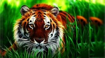 Cool Tiger Wallpaper