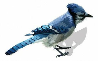 HD Desktop Wallpaper Blue Jay
