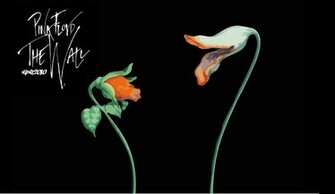 Wallpaper Pink Floyd The Flowers