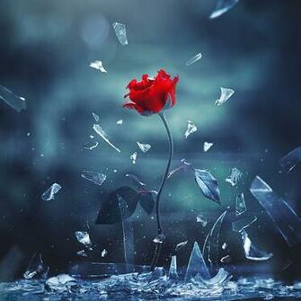 Love Shall Overcome Photographer Ashraful Arefin Magical