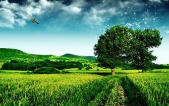 Feel The Nature S Beauty Wallpaper Gallery