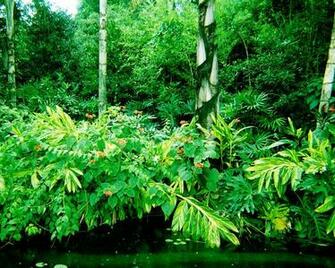 Florida Jungle Part By Dendarr
