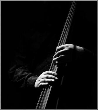 Bass Guitar Wallpaper HD Ass The Player