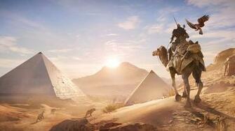 Camel HD Wallpaper Background Image