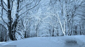 Winter Wallpaper Schnee Landschaft Gdefon Original