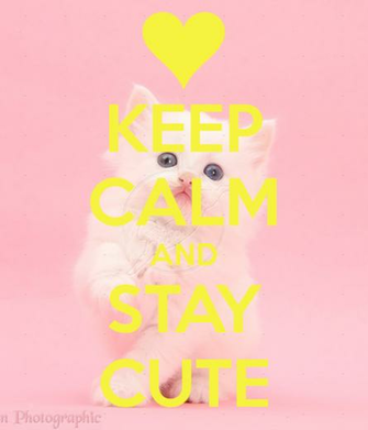 Keep Calm And Stay Cute Carry On Image Generator