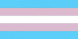 Transgender Flag Related Keywords Suggestions