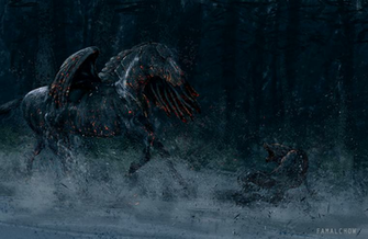Black Pegasus Wallpaper