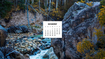 November Wallpaper Bies For Desktop Phones