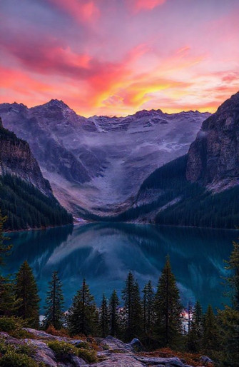 16k Ultra HD Wallpaper