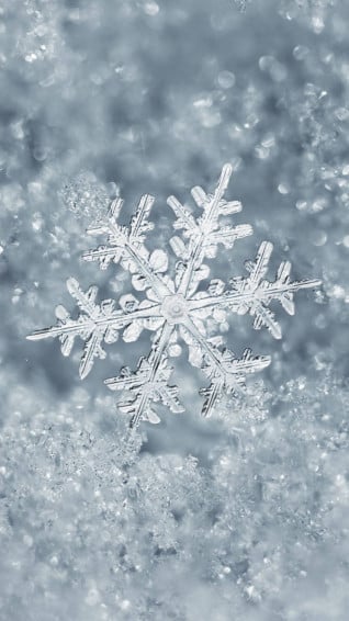 Snowflake Wallpaper