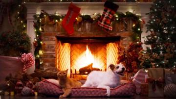 The Best Netflix And Other Streaming Fireplaces For