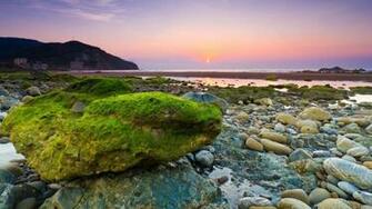 Beaches Coral Reefs Soft Papua New Guinea Reef Ocean Floor