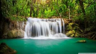 Rainforest Waterfall 4k HD Desktop Wallpaper For Ultra Tv