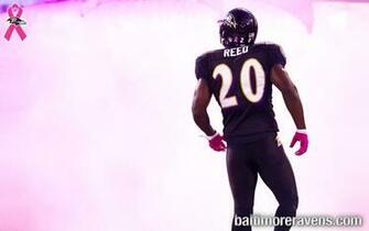 Gallery For Gt Ed Reed Jets Wallpaper