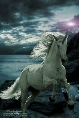 Net Unicorn Art Gallery And Pegasus Desktop Wallpaper