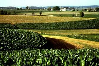 Farming Lady Ii And Substainable Practices Award Winning
