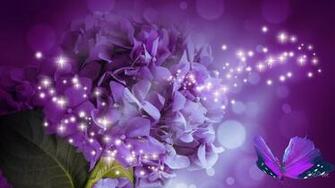 Hydrangea HD Wallpaper High Definition Quality