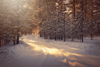 Winter Wallpaper HD Hq