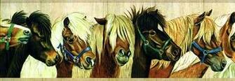 Vintage Wild Stallion Wallpaper Border 5814615b