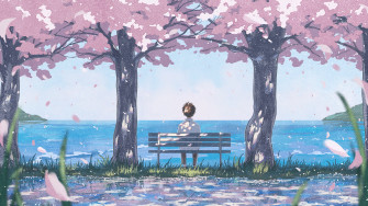 Cherry Blossom Sea Anime Scenery Wallpaper iPhone Phone 4k 1530f