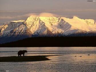 Typical Alaska HD Wallpaper