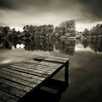 Wallpaper Black And White Nature