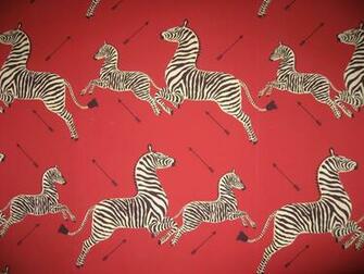 The New Yorker Newsweek Andrewromano Zebra Wallpaper