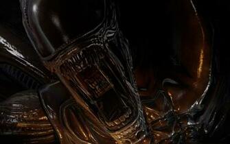 Aliens Vs Predator Wallpaper In
