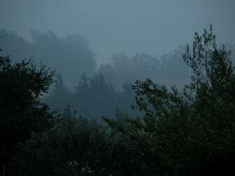 Windows Wallpaper Rainy Day
