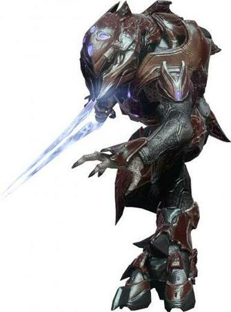 Halo Elite Photo