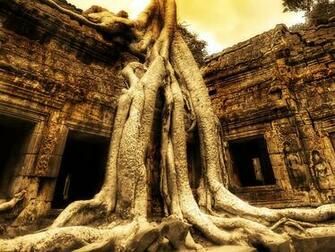 Angkor Wat Background
