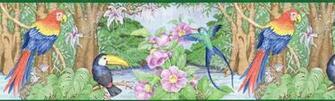 Jungle Wallpaper For Kids Parrots Flowers