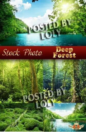 Photo Realistic Background With Deep Green Forests Trees And