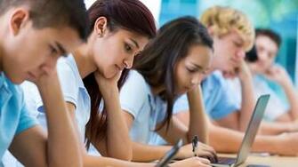 Naplan Blind To Cultural Factors