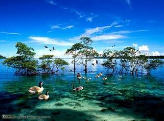Wallpaper National Geographic Smart