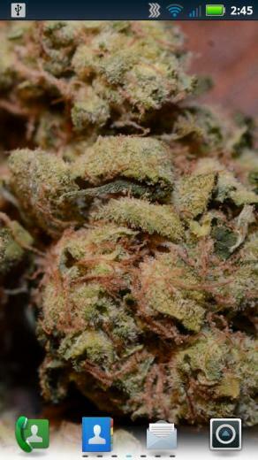 Sour Diesel Live Wallpaper App Android Su Google Play