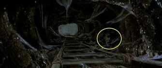 Labyrinth Image Hidden Face In The Oubliette HD Wallpaper