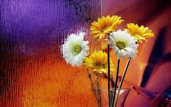 Colorful Flower Background Wallpaper HD