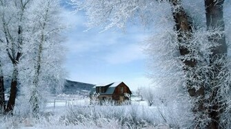 Winter Wonderland Wallpaper HD Background