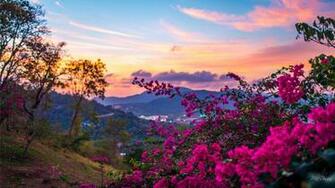 HD Spring Wallpaper