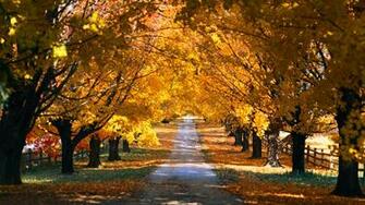HD Classic Wallpaper High Resolution Nature