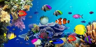 Under Water Live Wallpaper Android