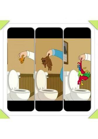 Brickleberry Image Malloy S Dead Pets HD Wallpaper And