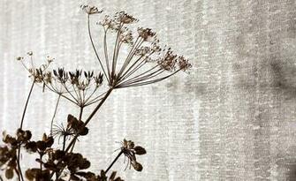 Impressions Wallpaper Collection Source Villa Nova