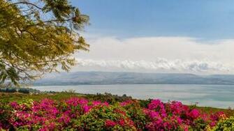 Top Reasons To Visit The Kinneret Right Now Israel21c